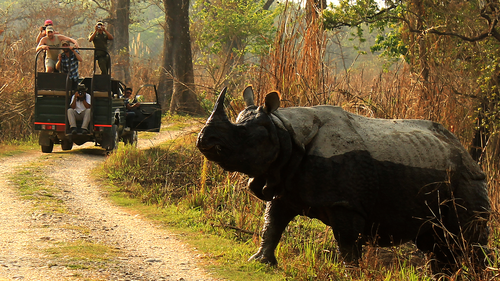 Nepal Wildlife